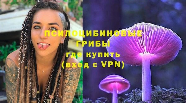 твердый Кулебаки
